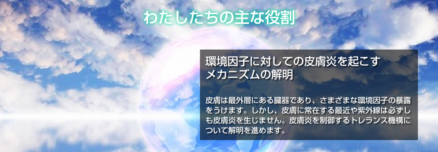 産業医科大学 医学部 皮膚科学教室