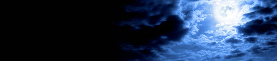 調査票を提供します