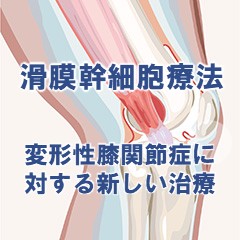 library/wakamatsu2024/image/top/slider_banner07.jpg