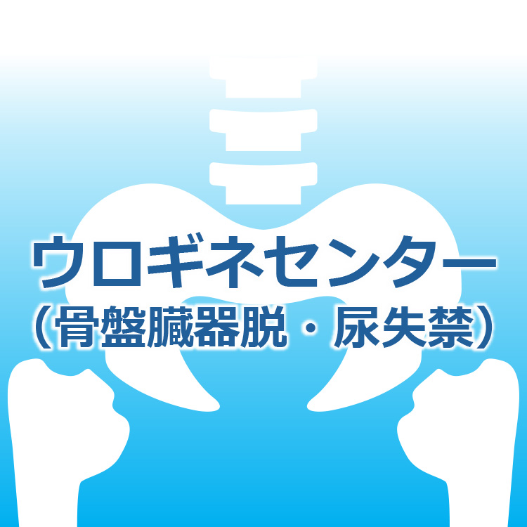 library/wakamatsu2024/image/top/slider_banner08.jpg