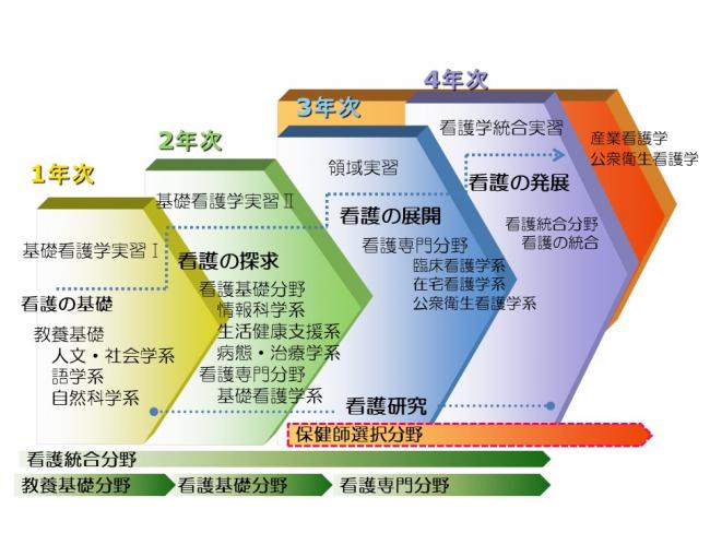 入試より： 看護カリキュラム図.jpg