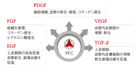 PFC成長因子-解説画像.jpg