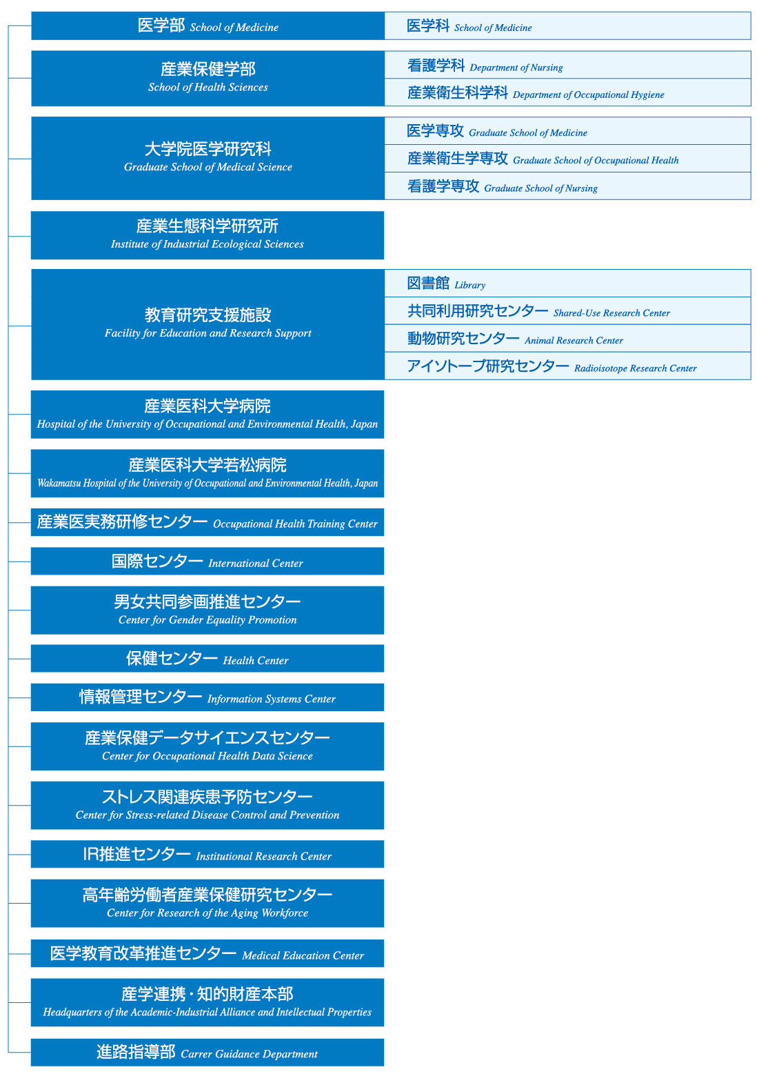 大学組織図2025.jpg