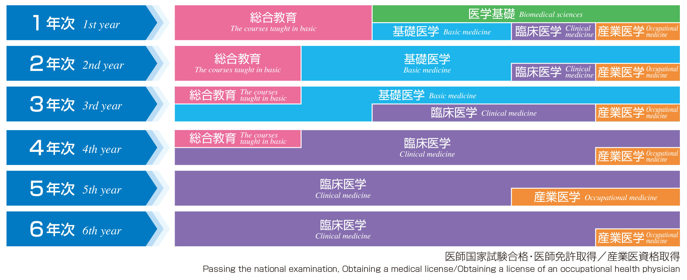 カリキュラム構成図.jpg