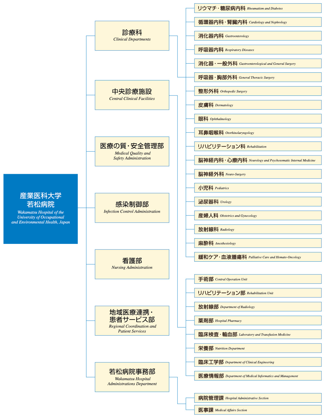 若松病院組織図2025.jpg