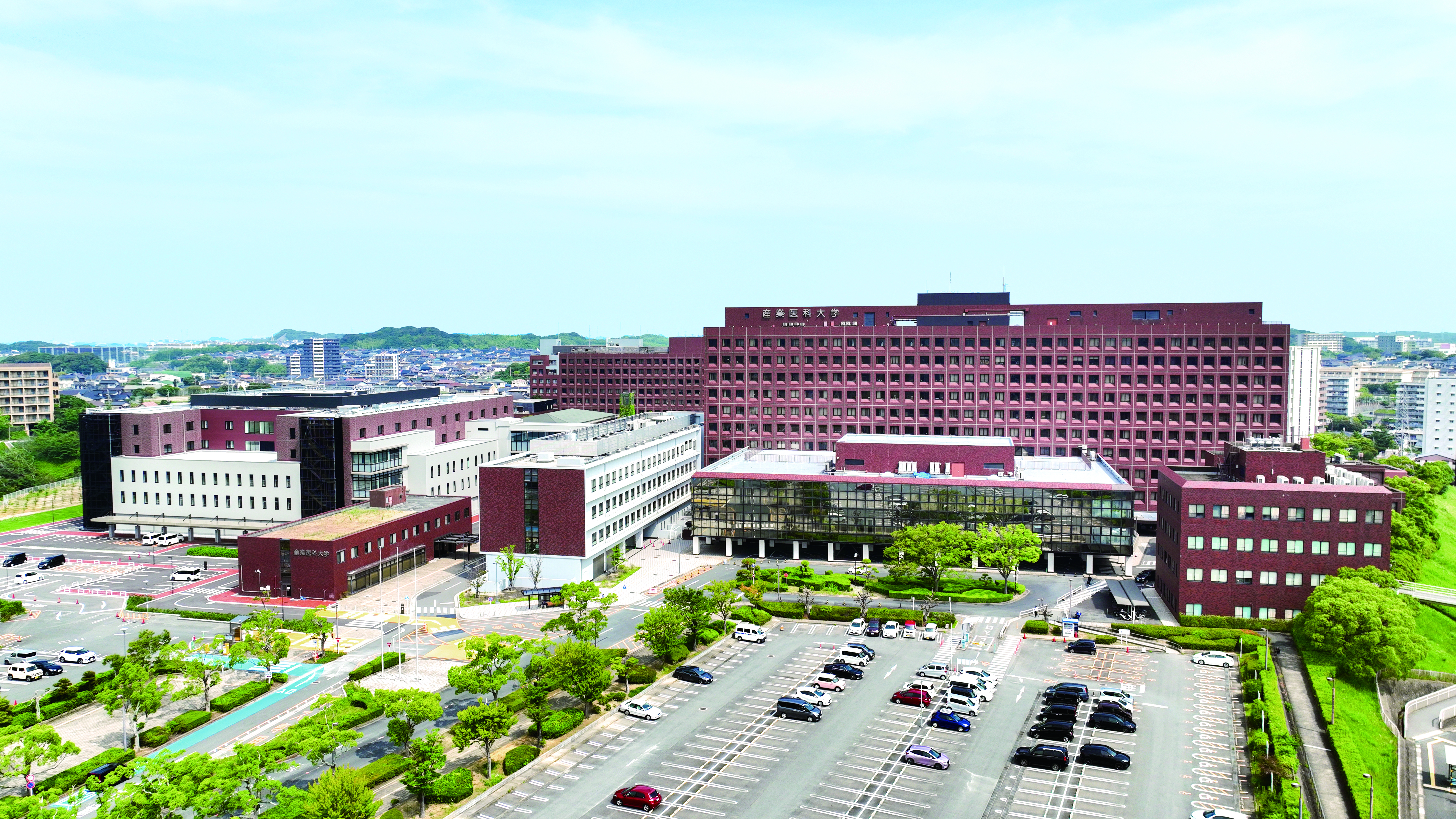 大学病院.JPG