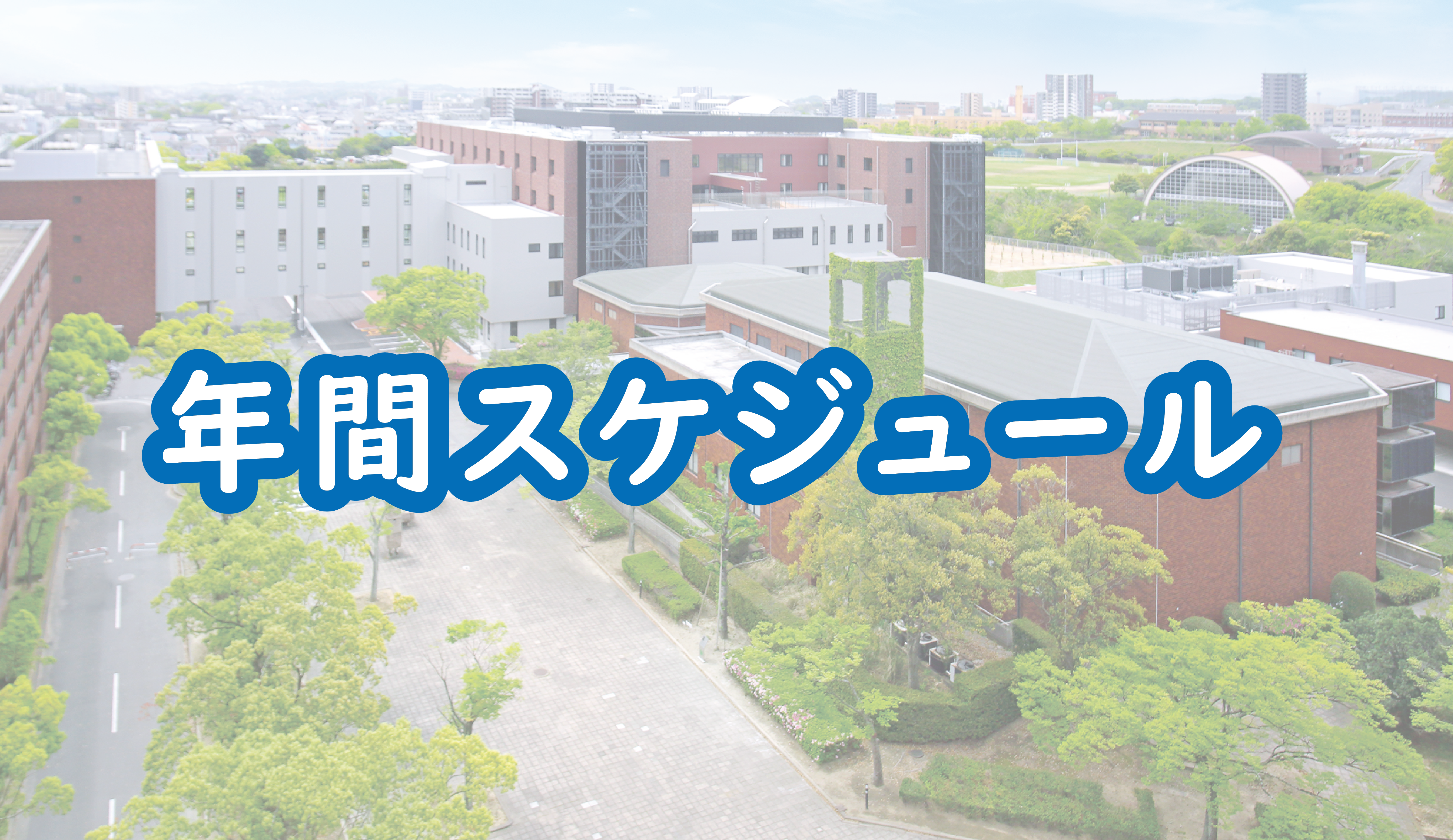 年間スケジュール_アートボード 1.png