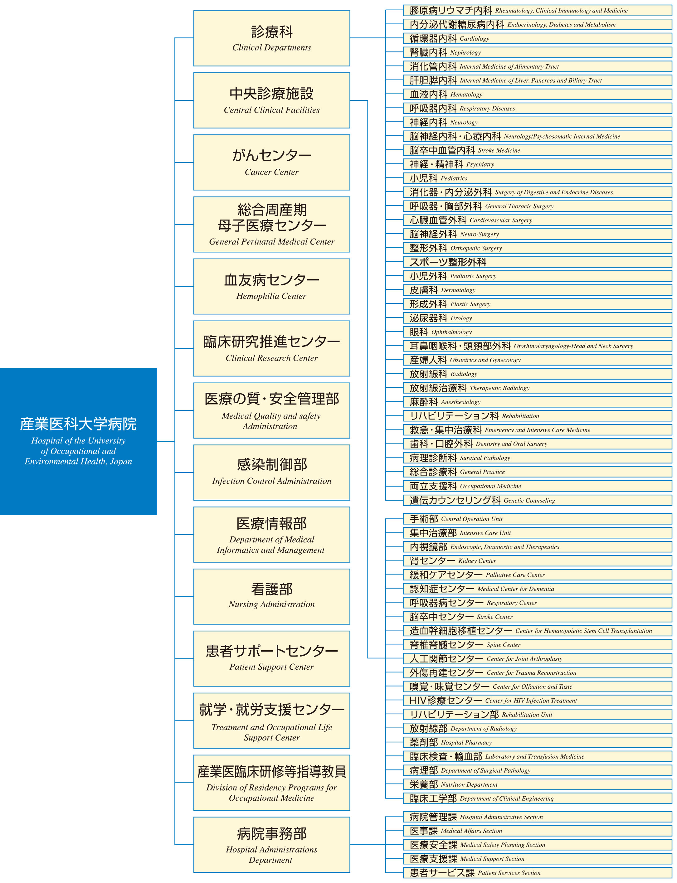 大学病院組織図2025（7月～）.jpg