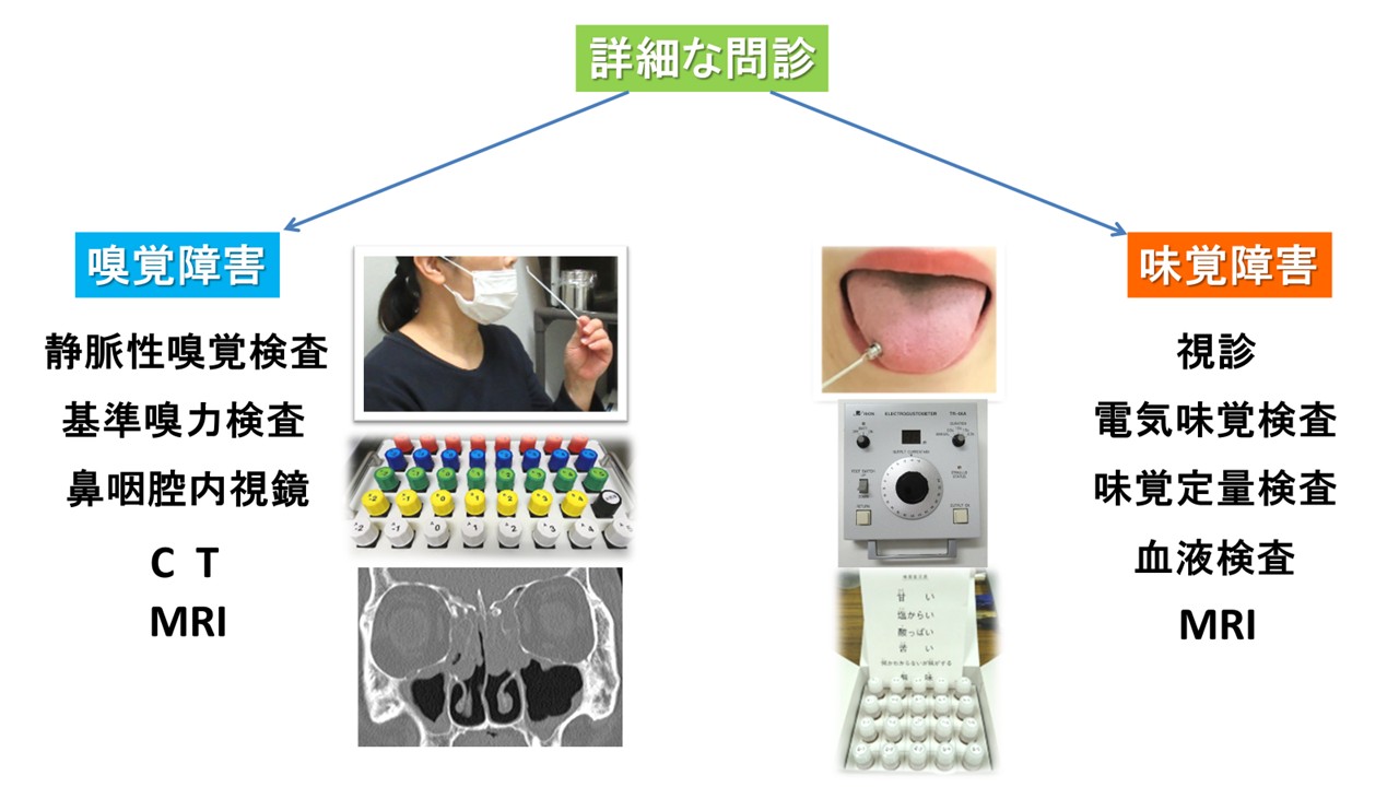 嗅覚・味覚センター　診療の流れ.jpg