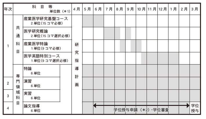 医学専攻履修モデル.jpg