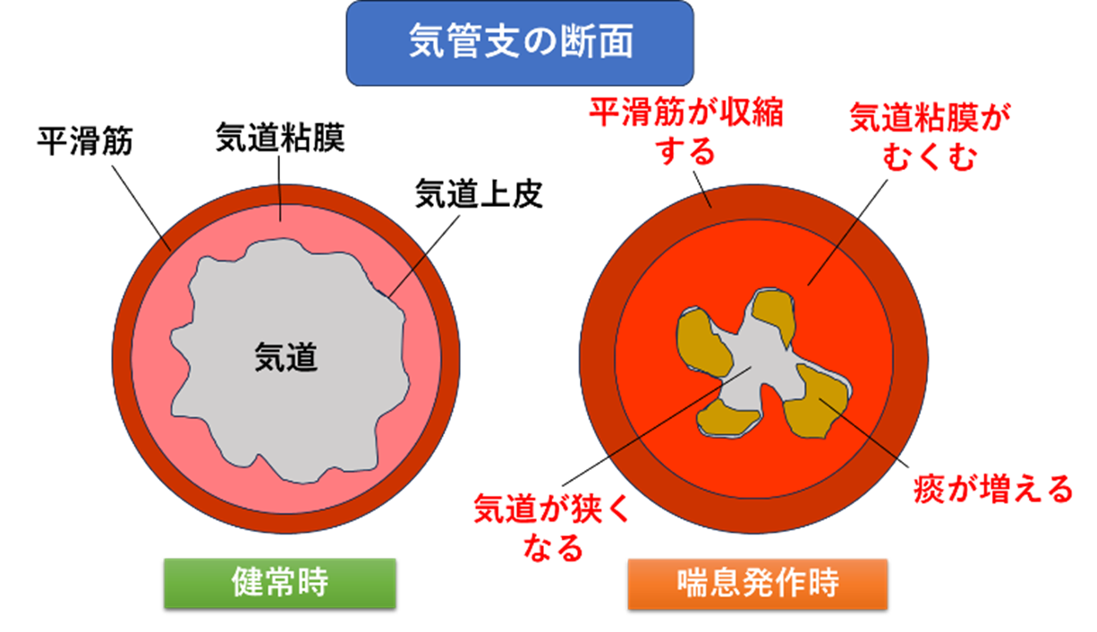 画像4.png