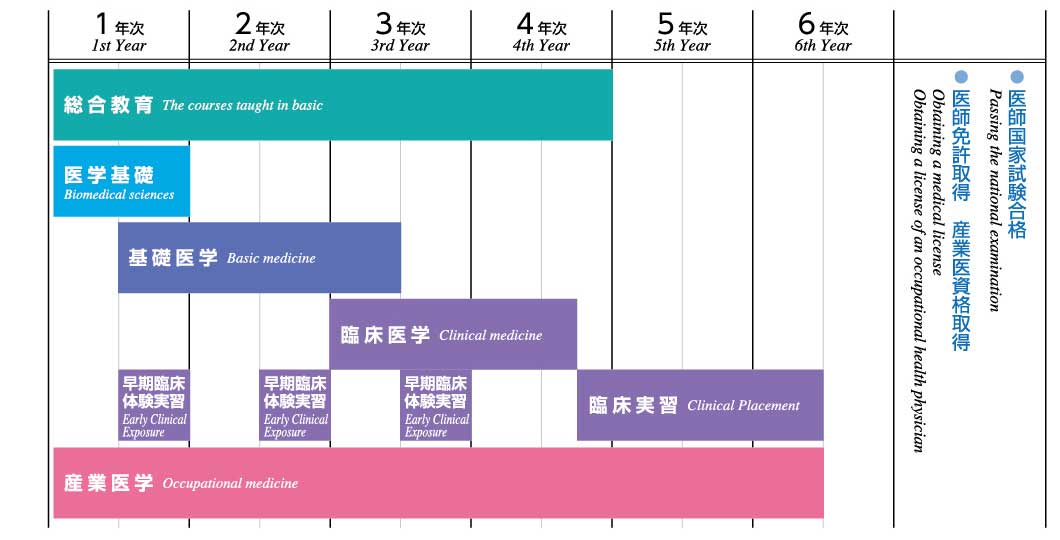 カリキュラム構成図（医学部）.jpg