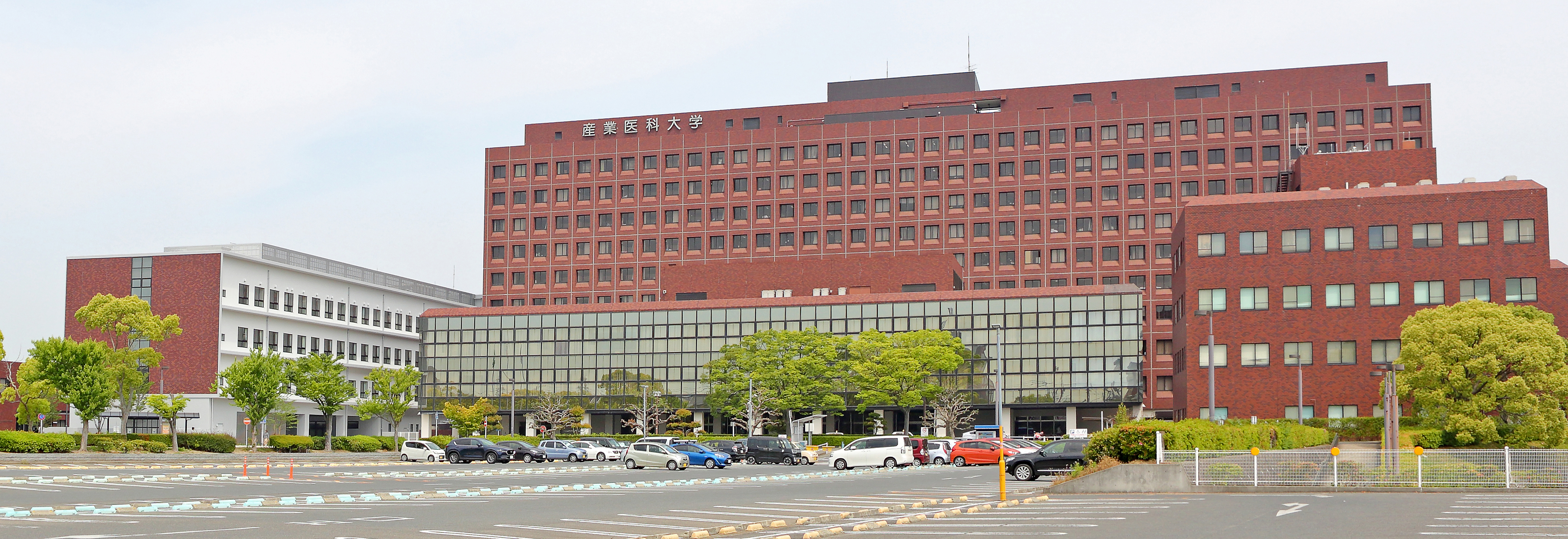 大学病院.jpg